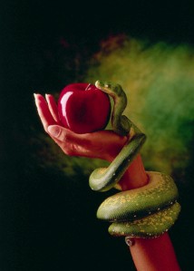 Snake and Forbidden Fruit